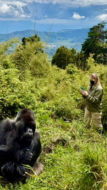 Kate Whelan: Animal Frequency and Finding What Is Real in an Artificial World 7 WhatsApp Image 2026 08 25 at 5.13.52 AM 1 2